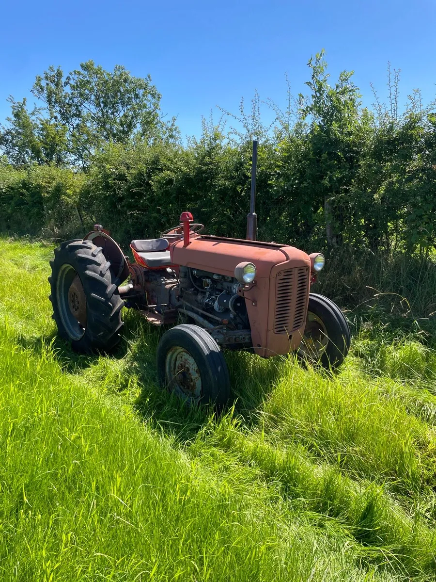 Massey Ferguson 35 3 cylinder *live drive* - Image 1