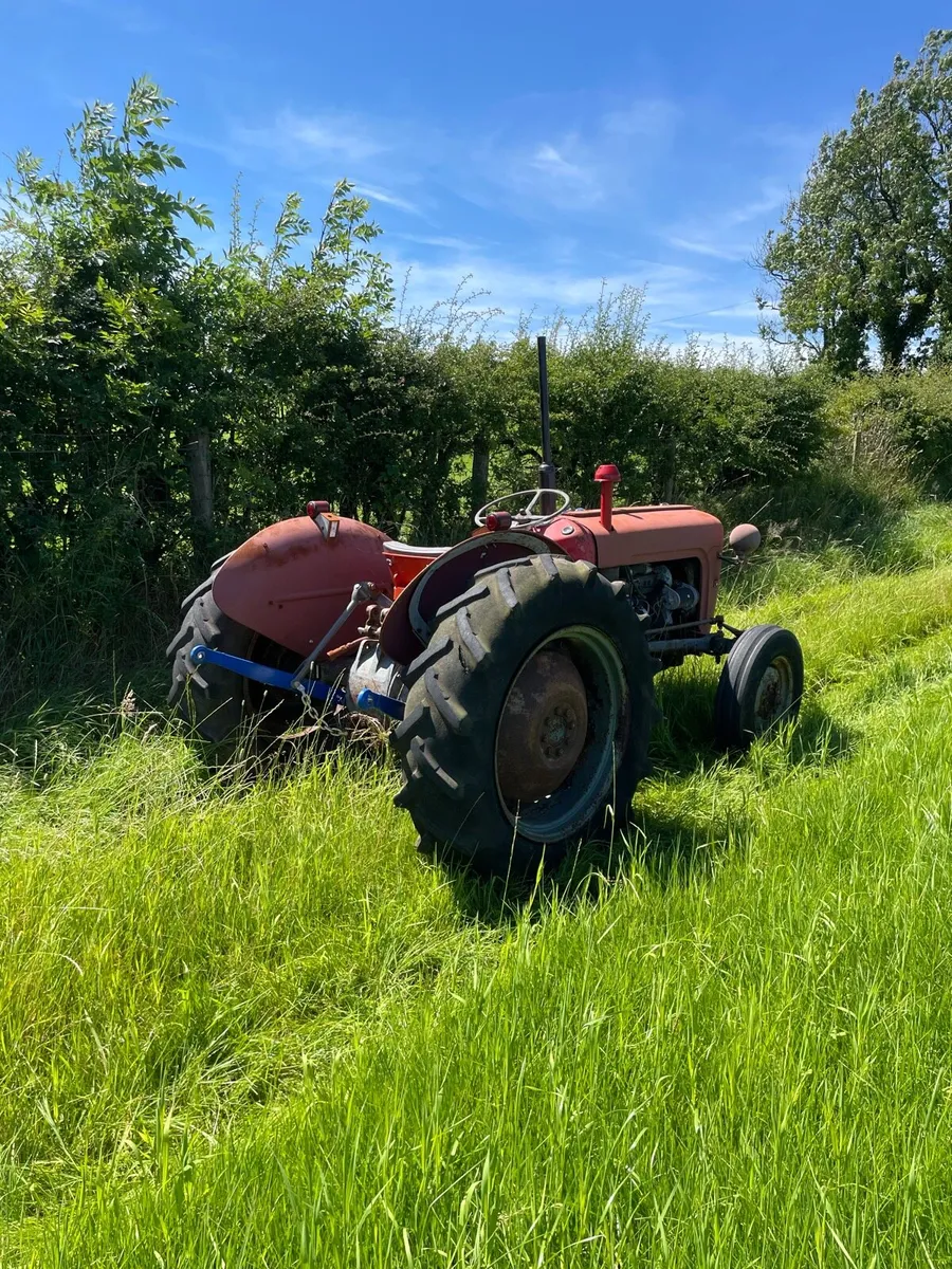 Massey Ferguson 35 3 cylinder *live drive* - Image 3