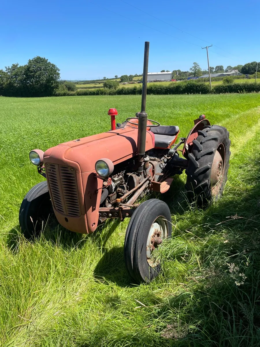 Massey Ferguson 35 3 cylinder *live drive* - Image 4
