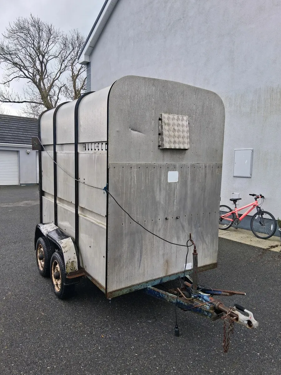 Cow box - Image 1