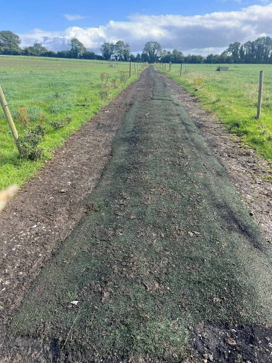 Astro turf (cow paths) - Image 2