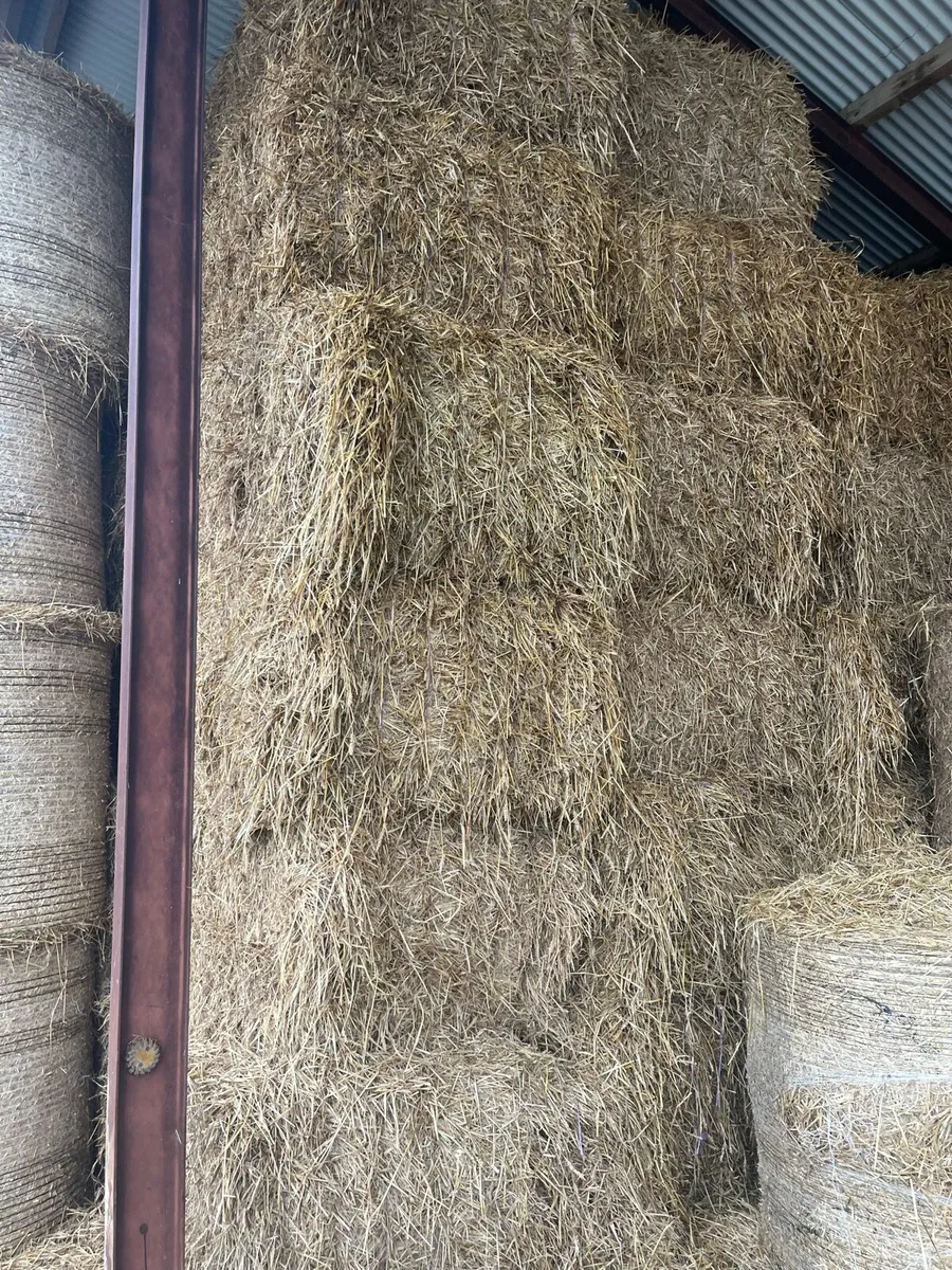 Whet straw - Image 1