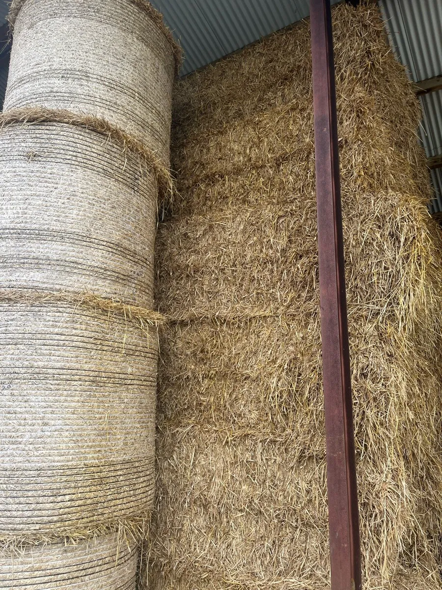 Whet straw - Image 2