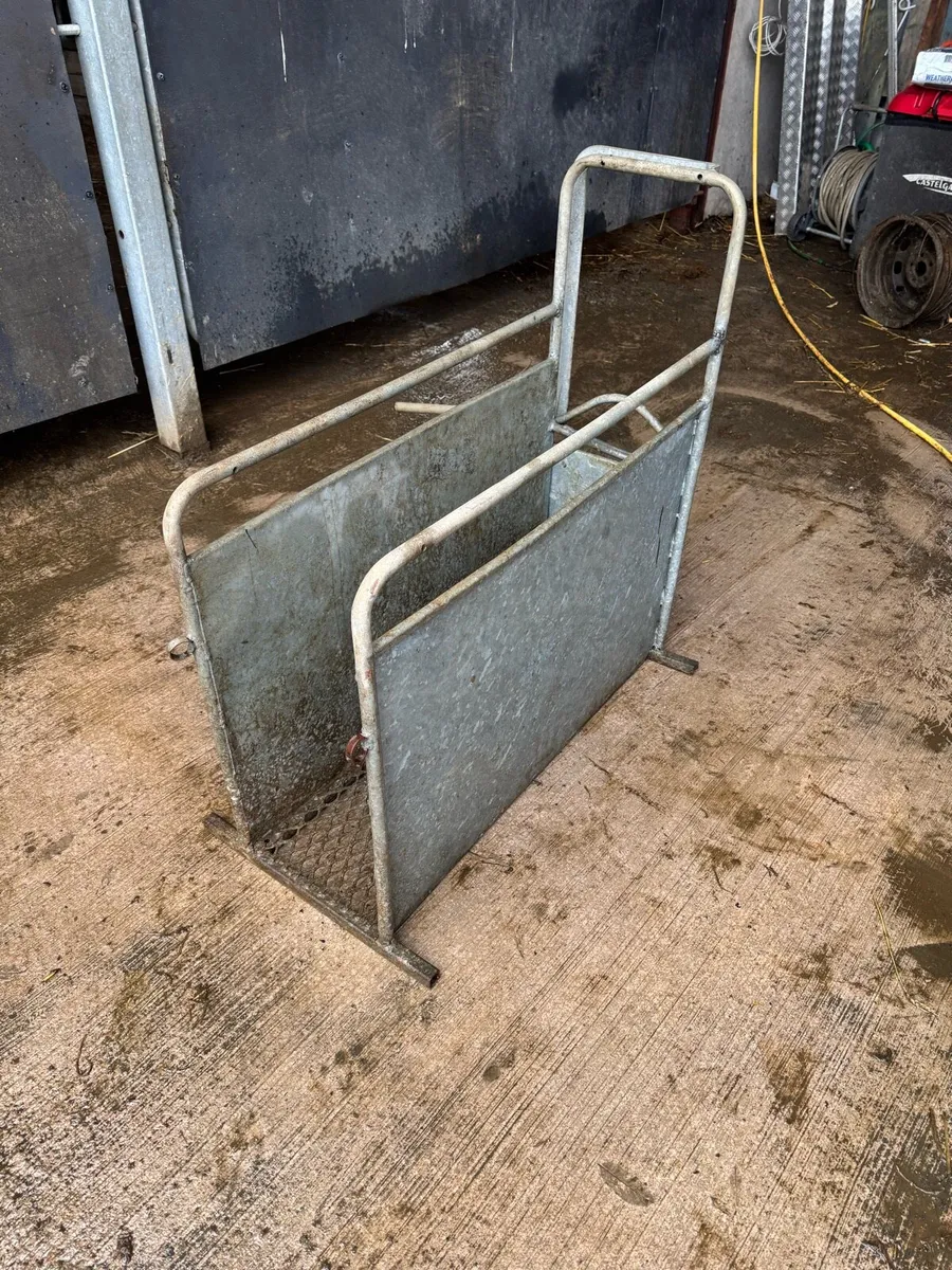 Dehorning crate - Image 1