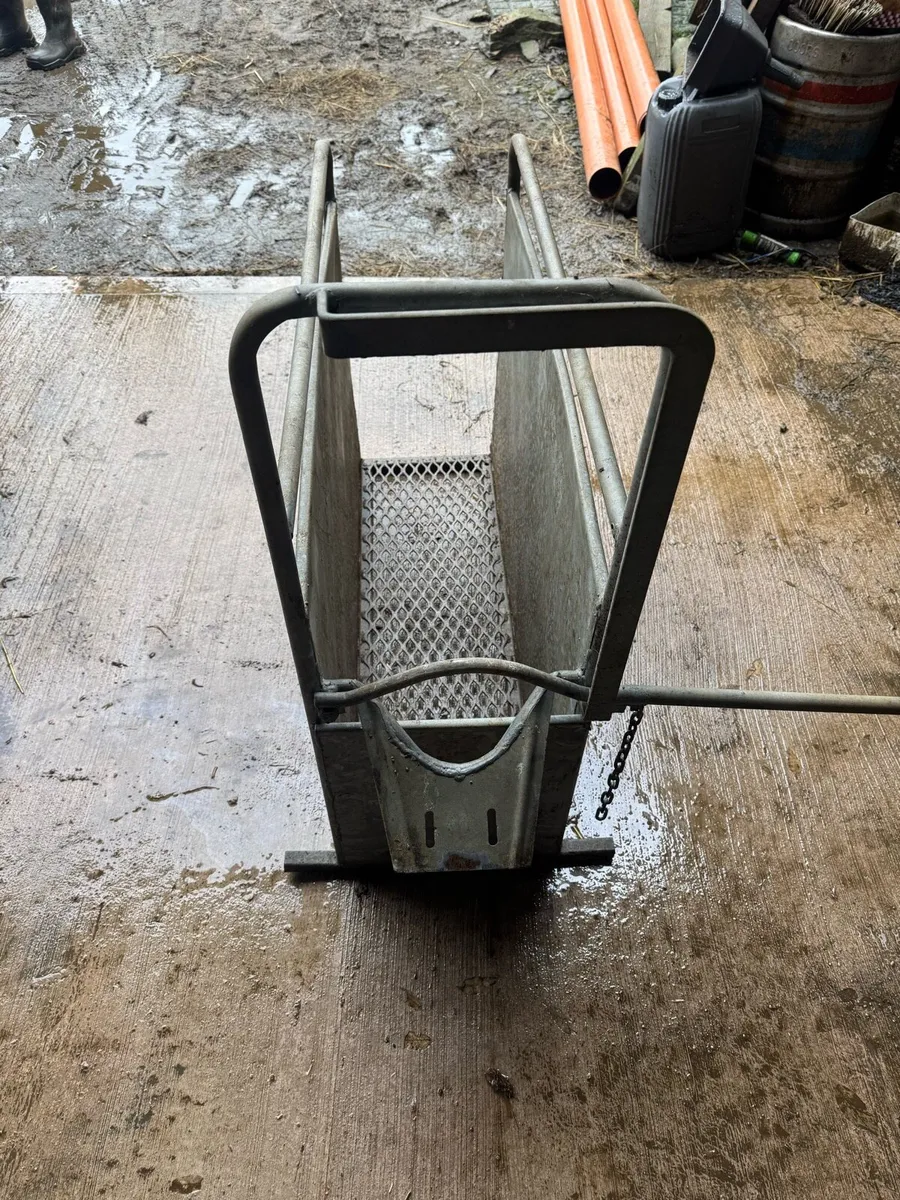 Dehorning crate - Image 2