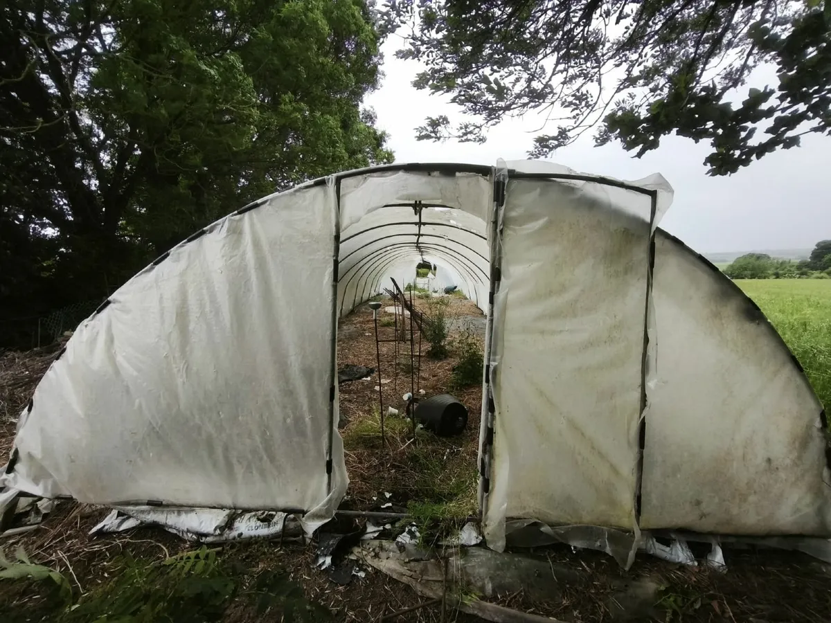 Polytunnel - Image 1