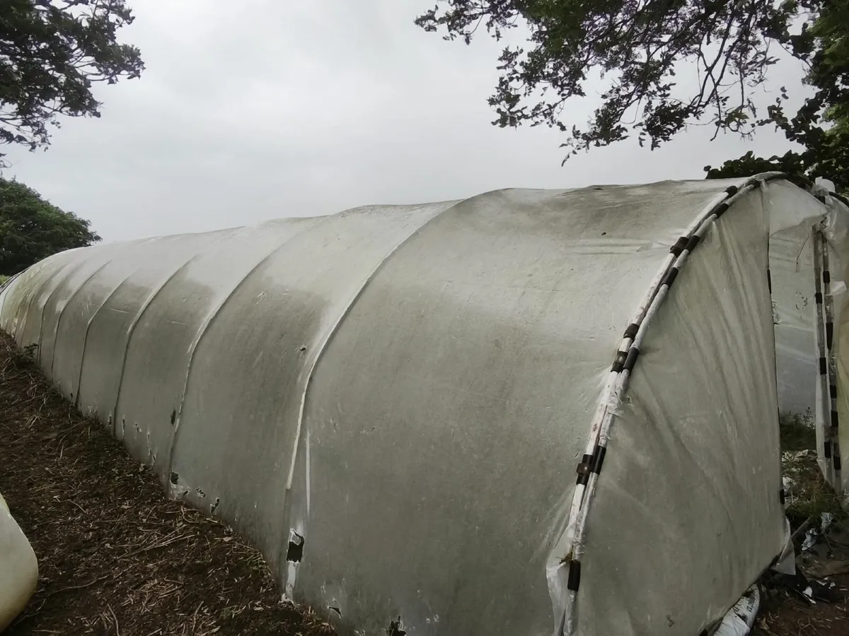 Polytunnel - Image 2