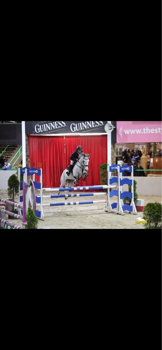 148 7yo pony - Image 1