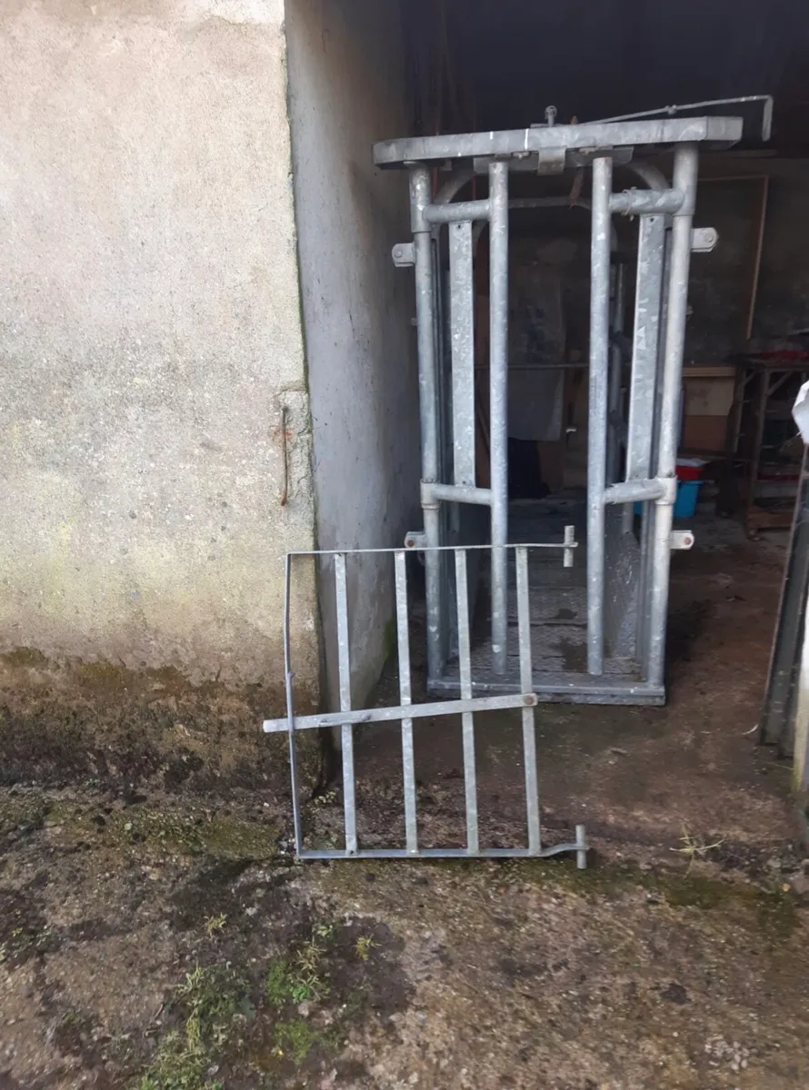 Mobile Cattle Crush - Image 4