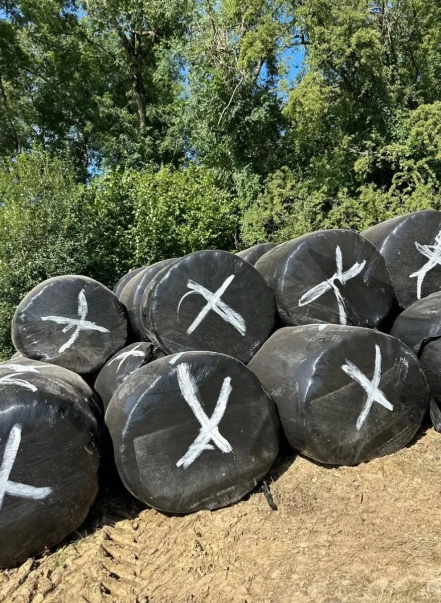 Silage Bales
