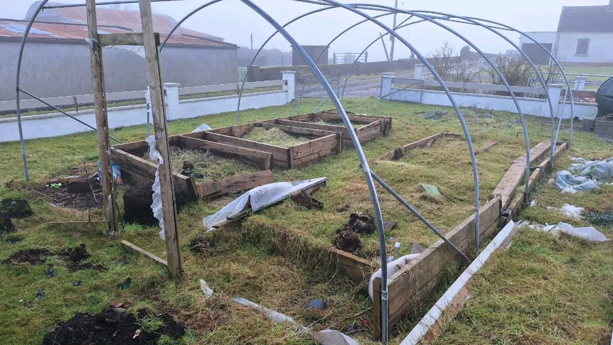 Polytunnel Galvanised FRAME ONLY - Image 2