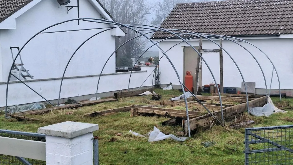 Polytunnel Galvanised FRAME ONLY - Image 4