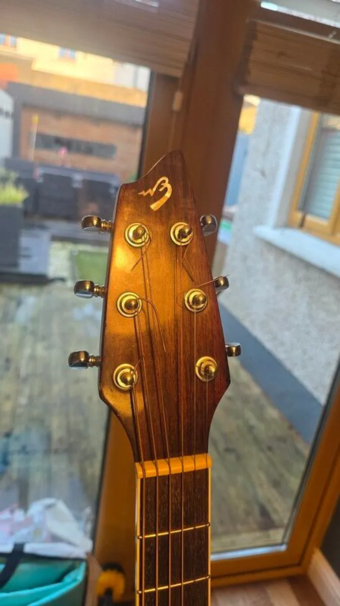 Breedlove acoustic guitar - Image 3