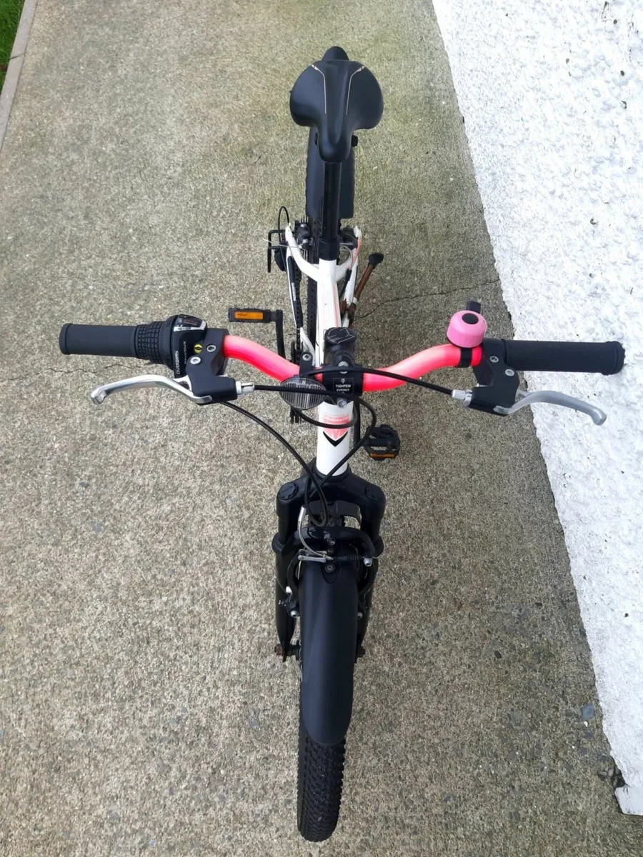 Girls Bicycle - Image 2