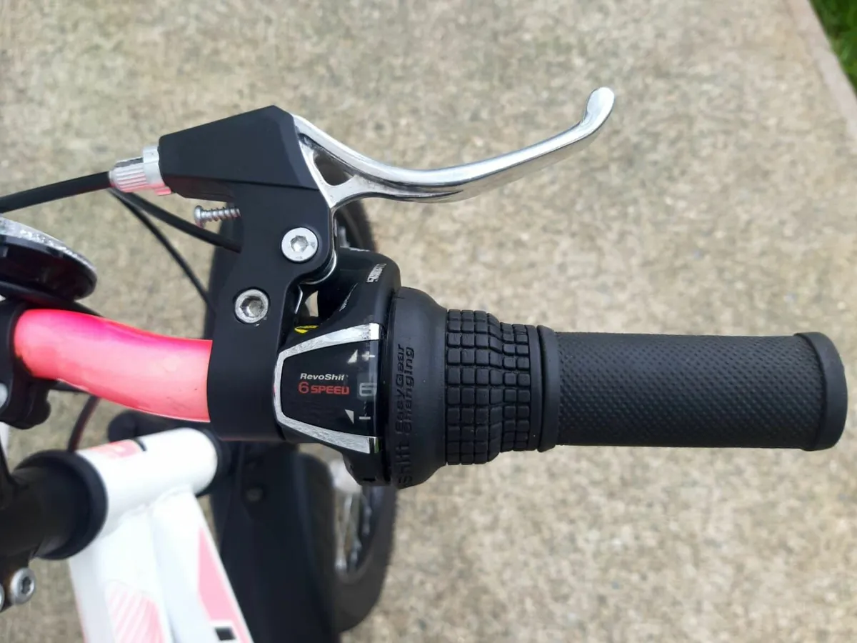 Girls Bicycle - Image 4