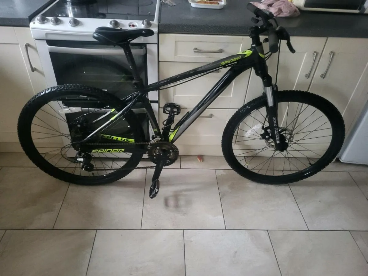 Mountain bike - Image 1