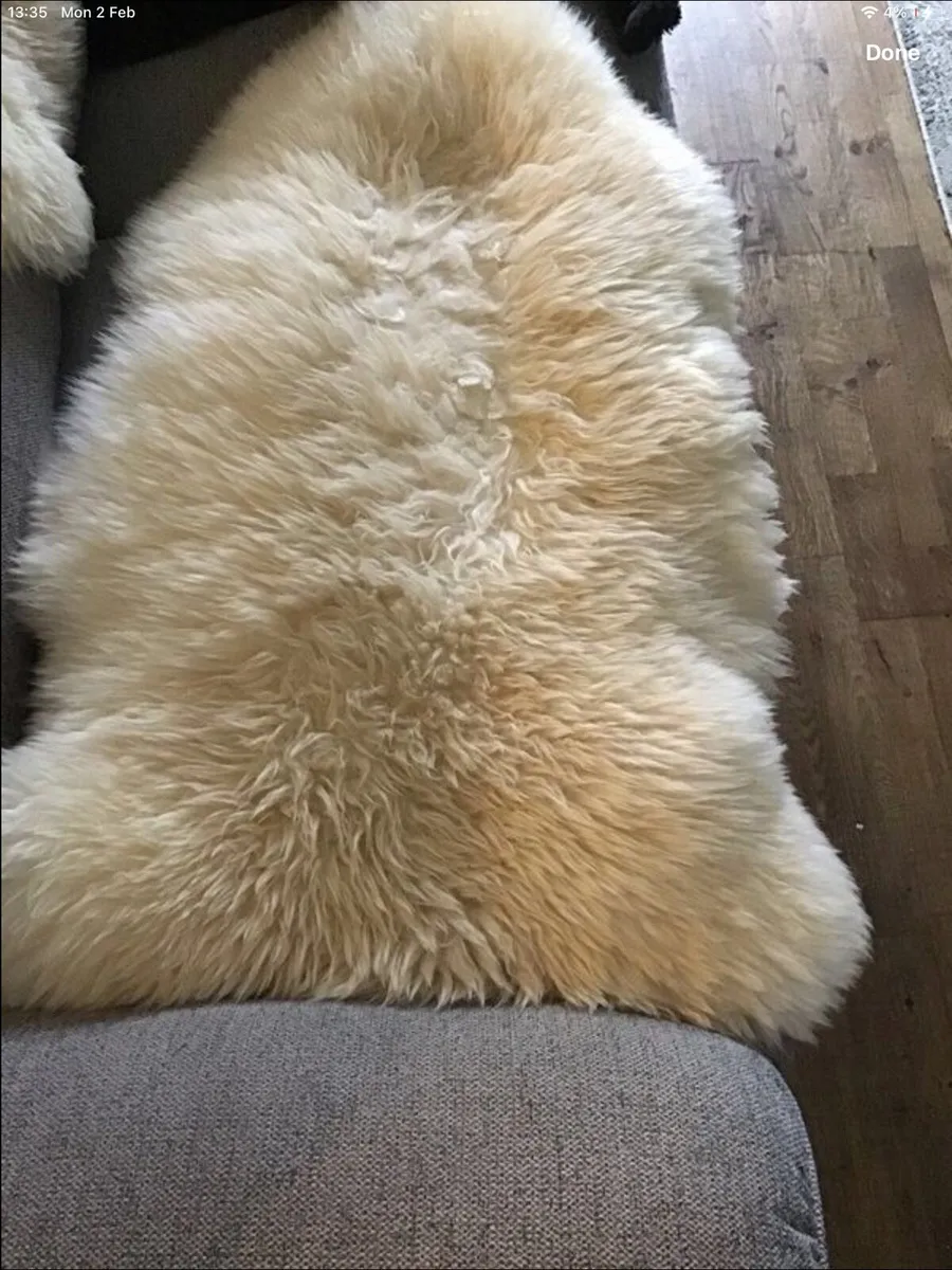 100% Authentic Sheepskin Rug x 2 - Image 3