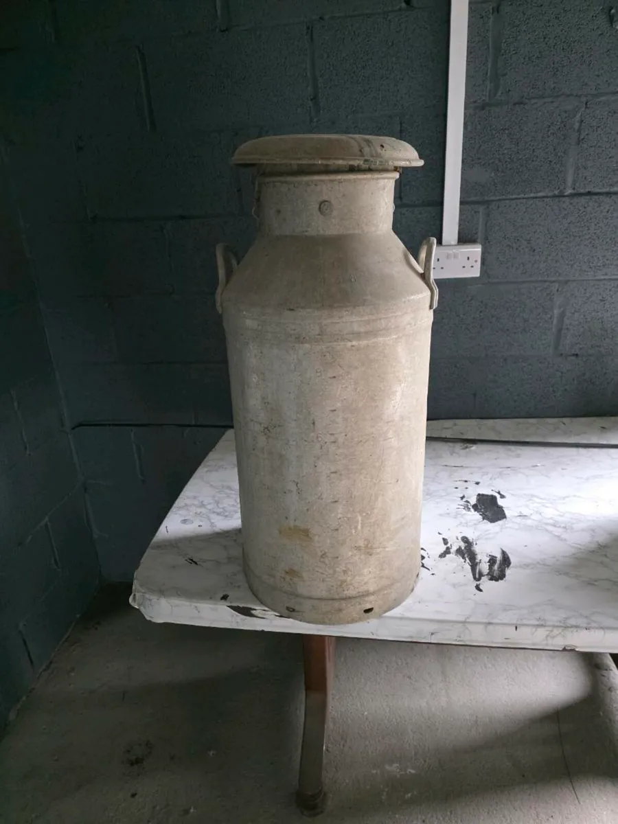 Milk churn Wexford Creamy antique - Image 1