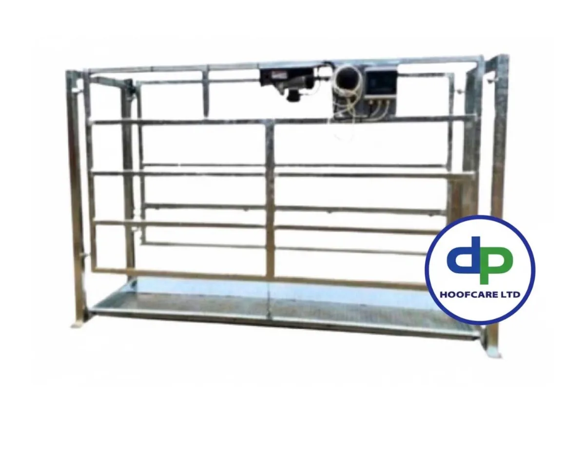 Auto footbath - Image 1