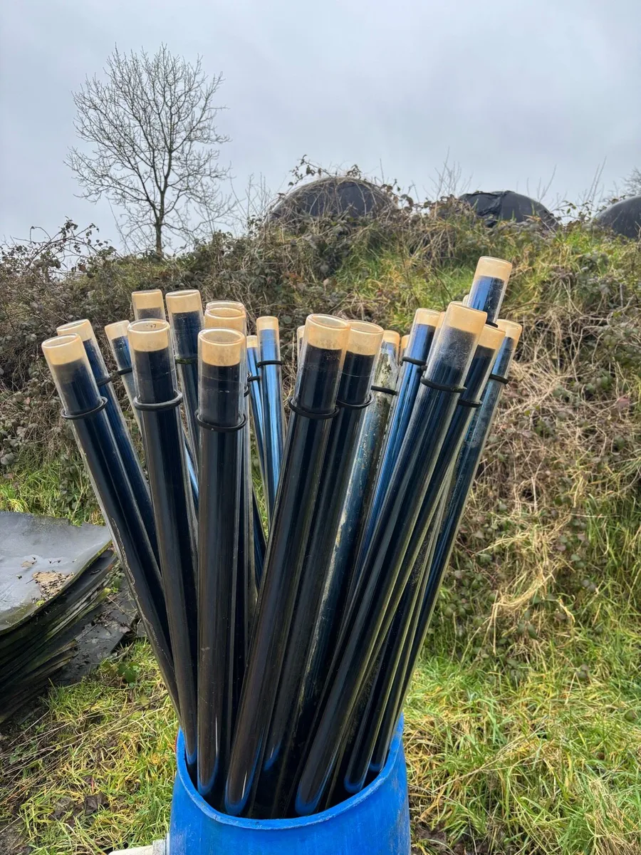 Solar hot water - Image 4