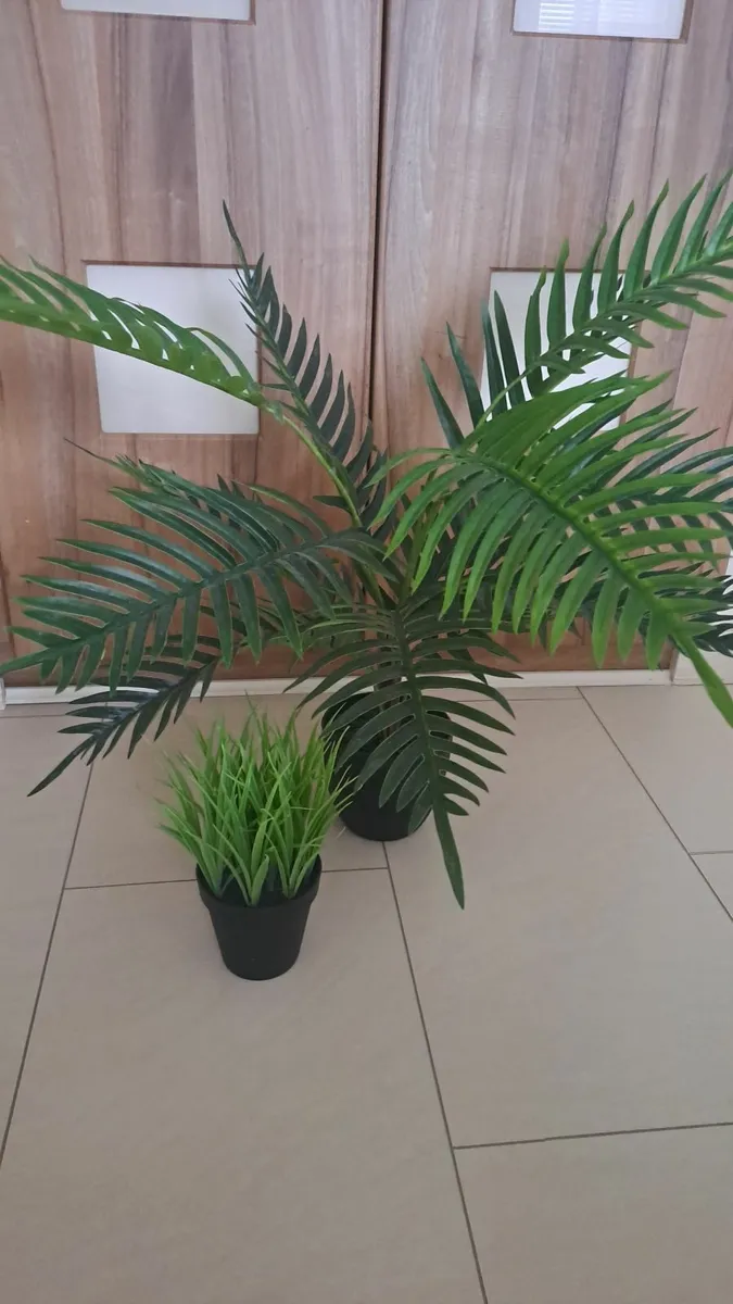 Home decor - Image 3