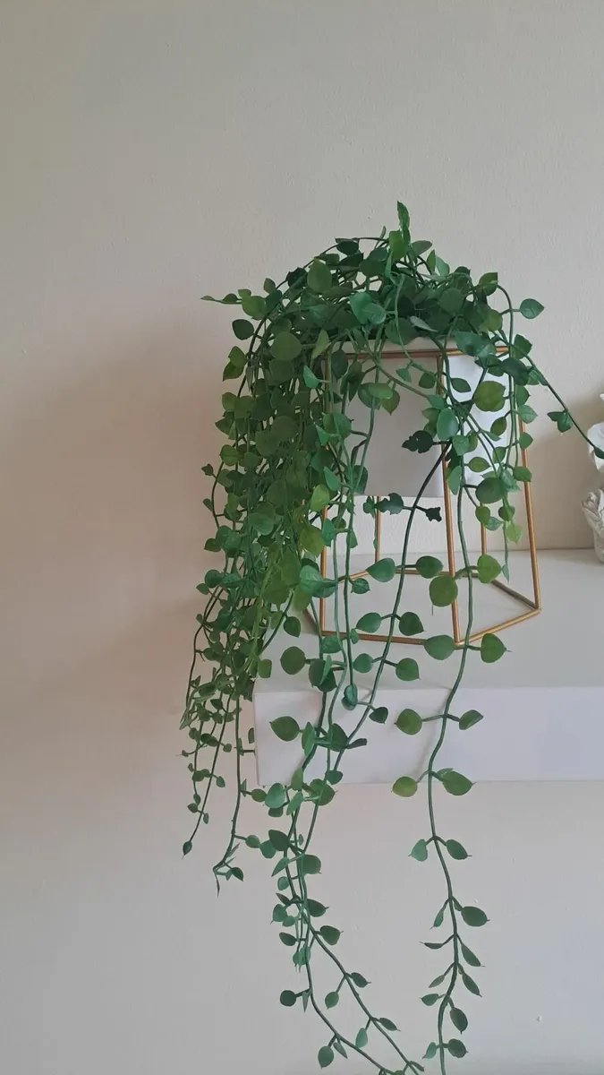 Home decor - Image 1