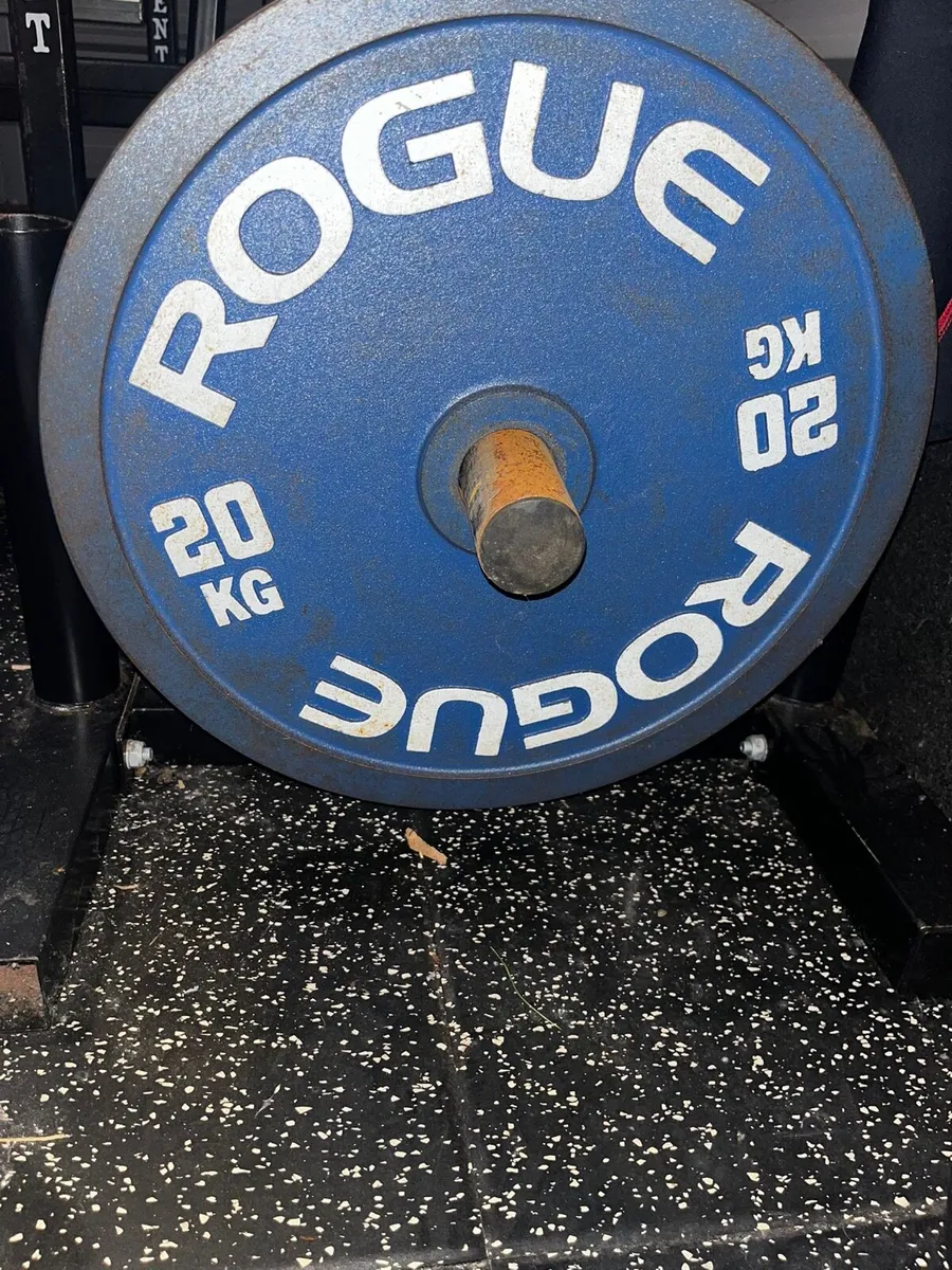Rogue Weightlifting Plates - Image 2