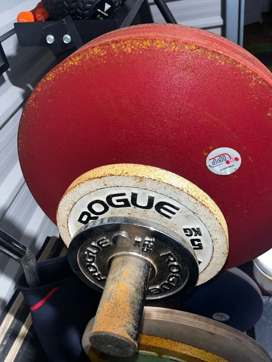 Rogue Weightlifting Plates - Image 3