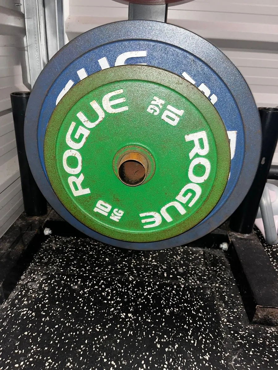 Rogue Weightlifting Plates - Image 4