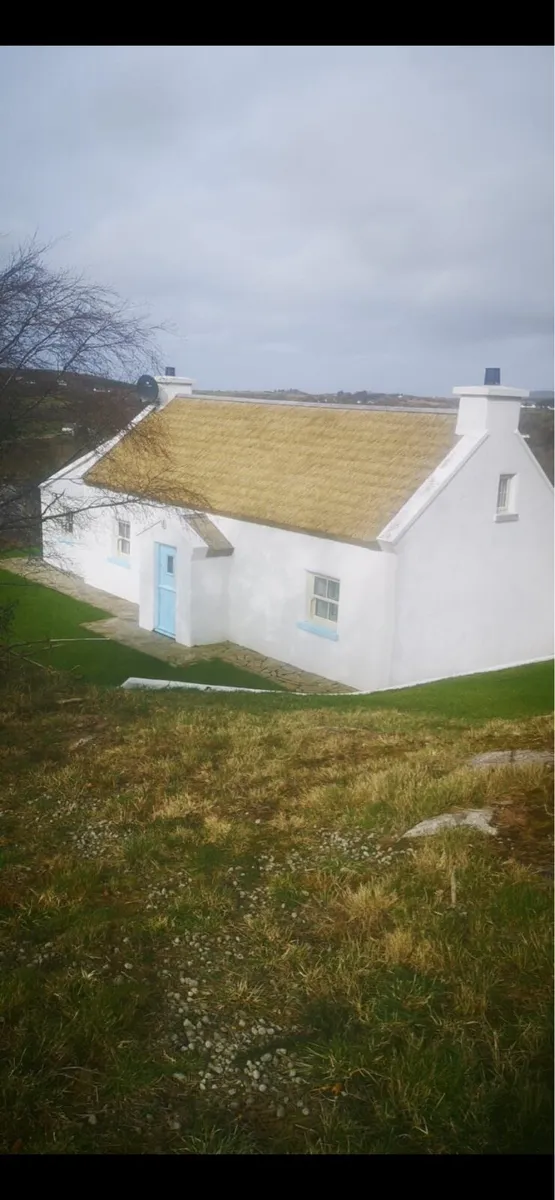 Thatch Roofing. - Image 2