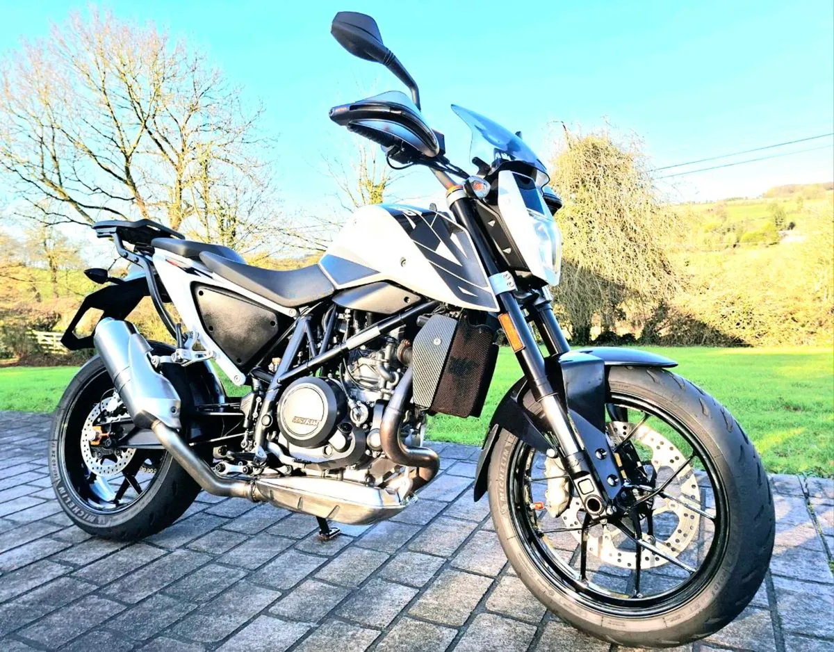 KTM 690 Duke - Image 1
