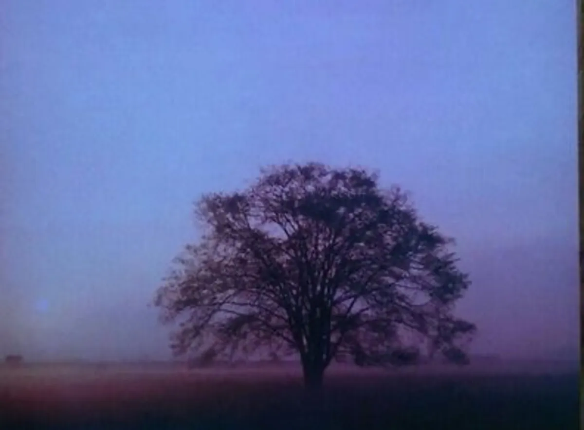 Phil Coulter Vinyl LP - Serenity