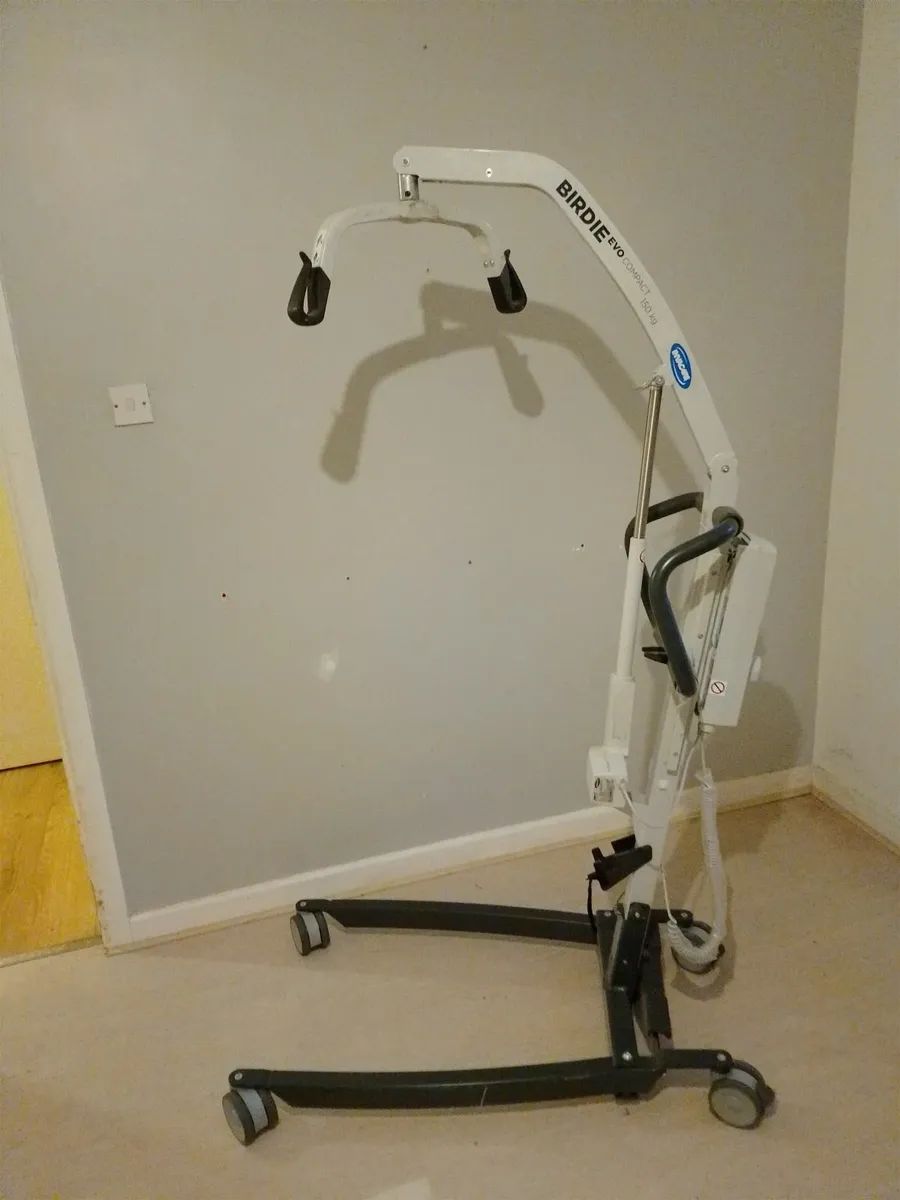 Electric mobility hoist - Image 2