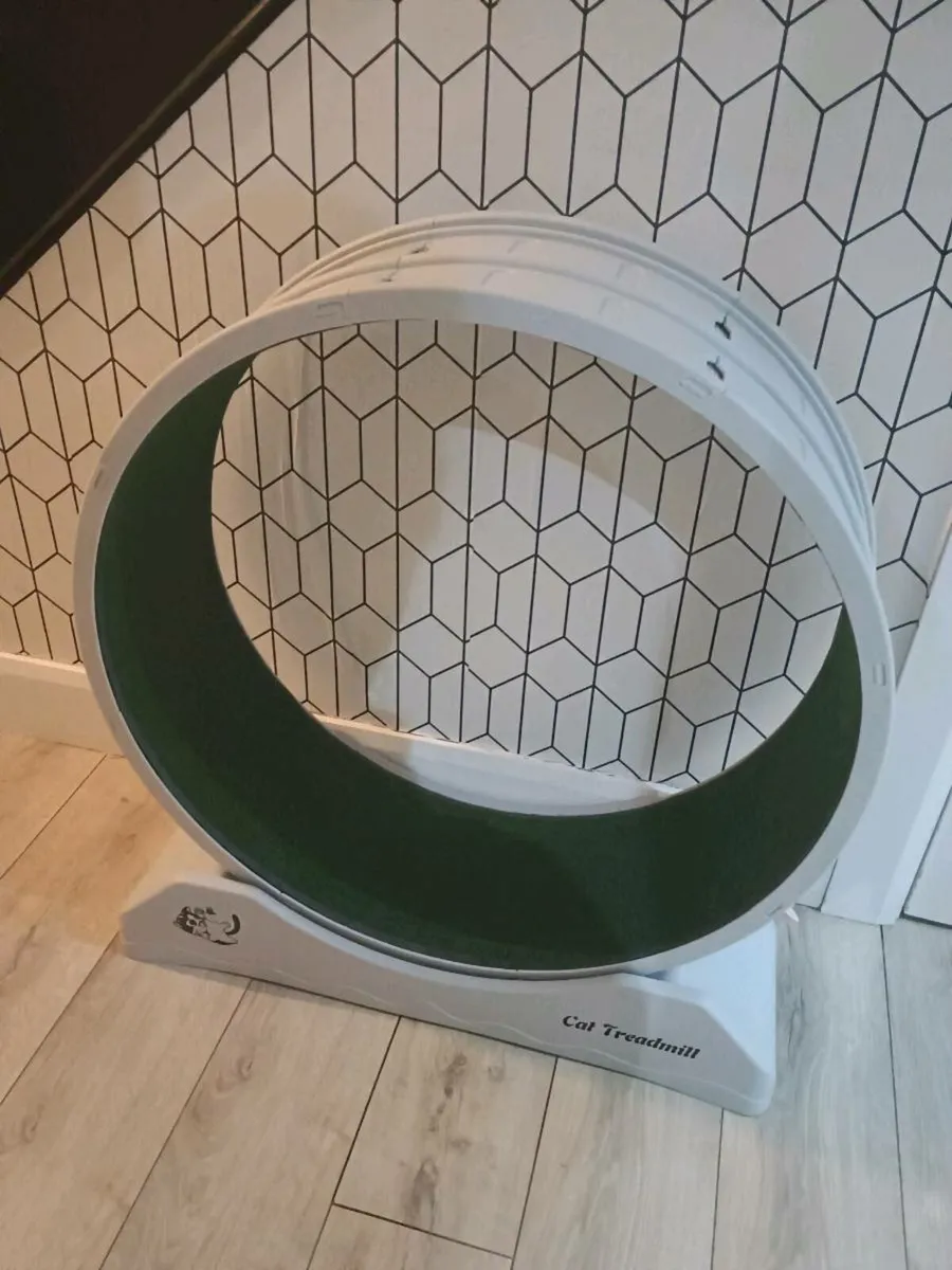 Cat wheel - Image 1