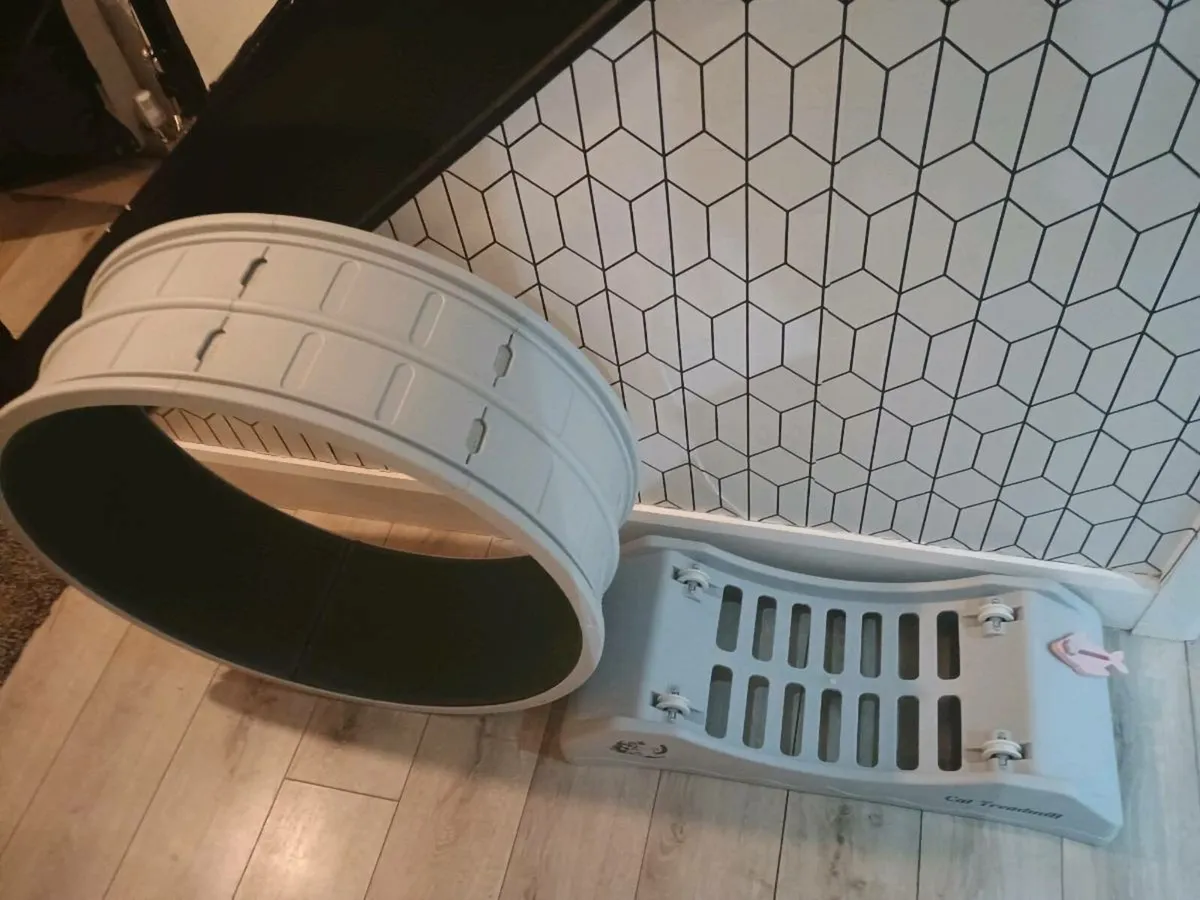 Cat wheel - Image 2
