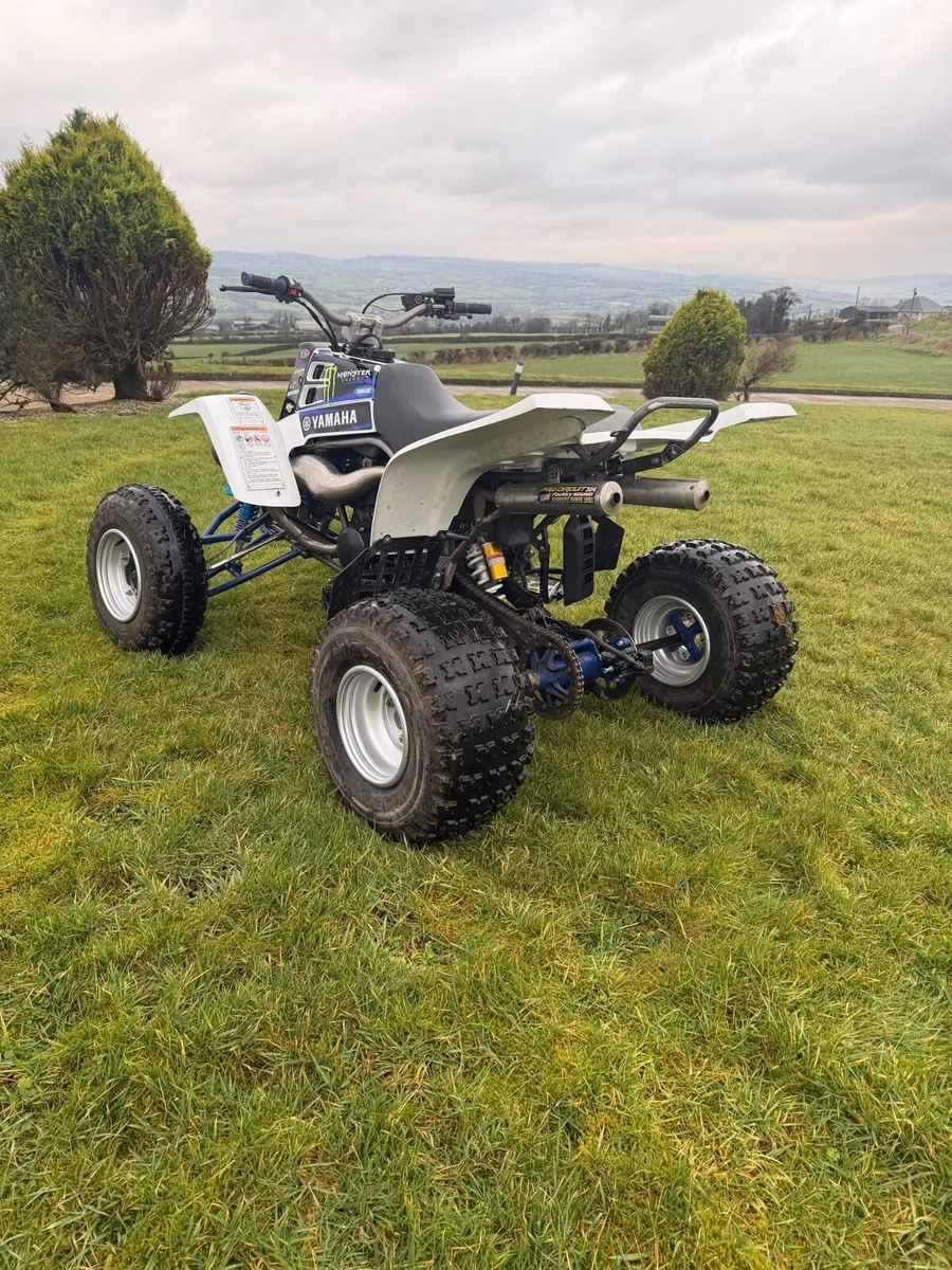 Yamaha banshee - Image 4