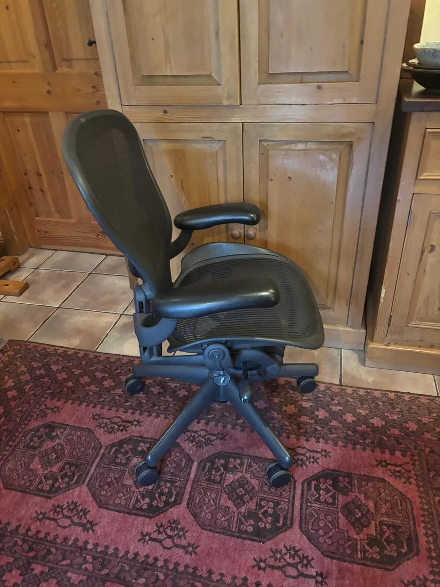 Herman Miller Ergonomic Office Chair - Image 1