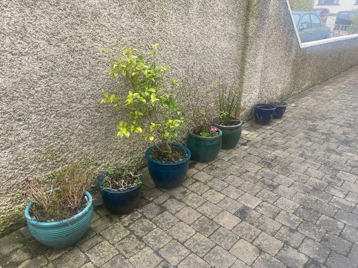 7 Pots (3 x 2 matching) - Image 1