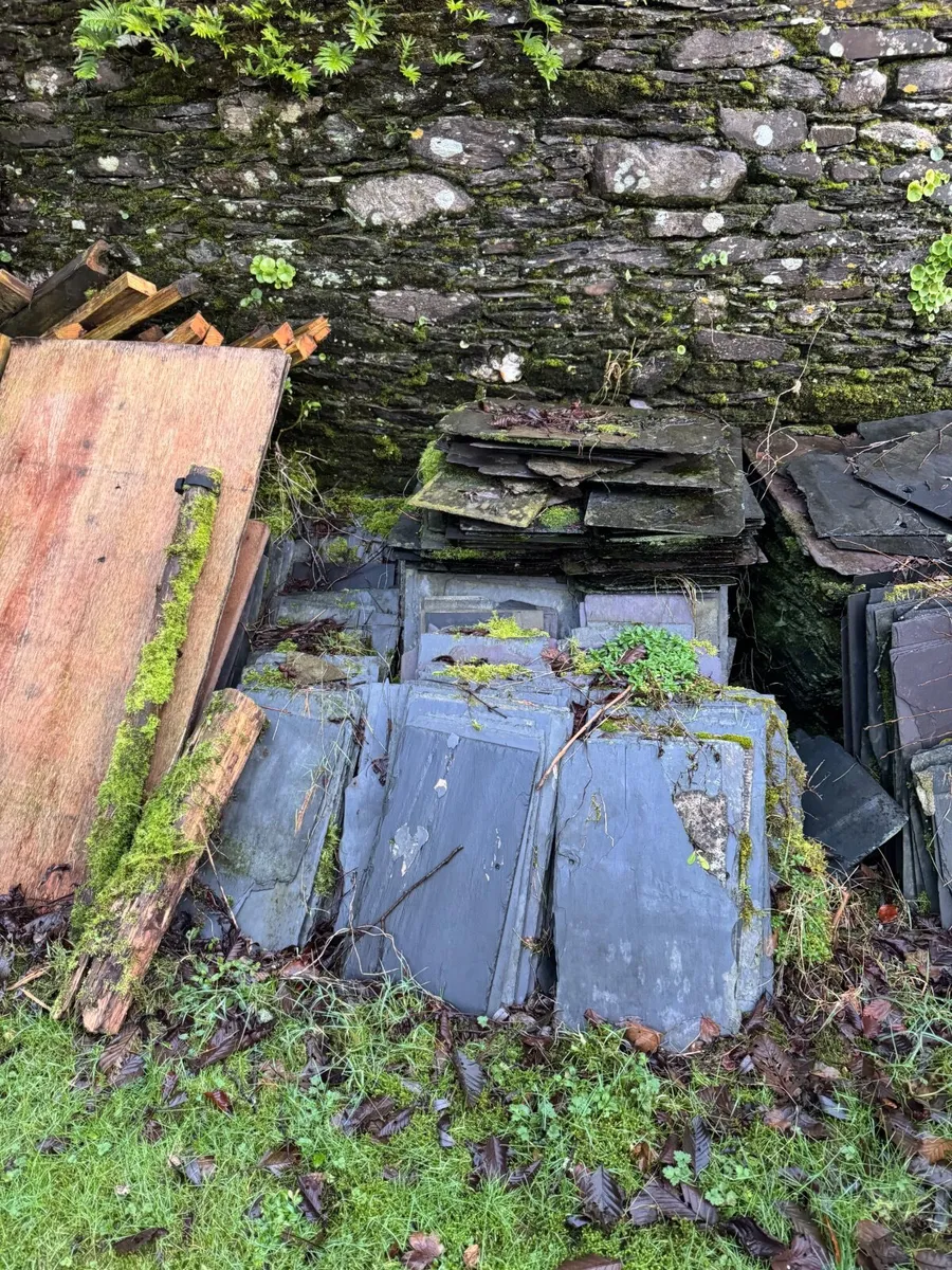 Old roof slates - Image 3