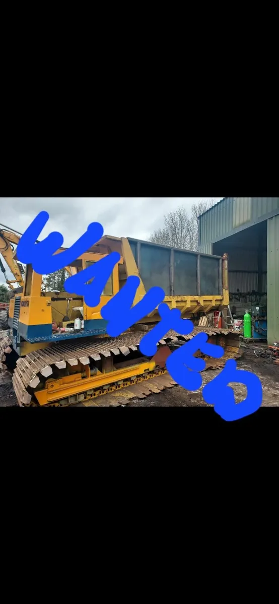 Track dumper - Image 1