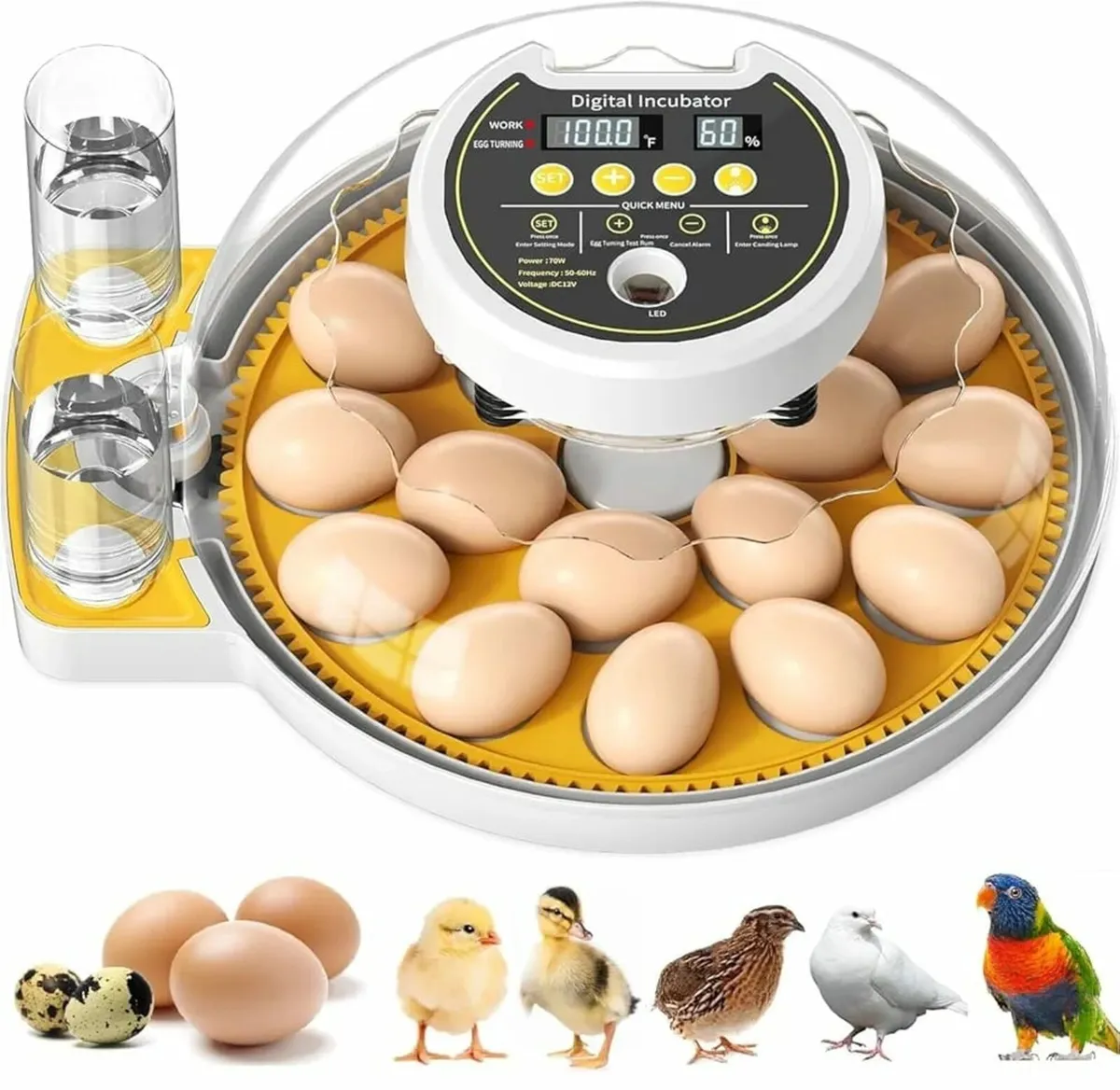 Egg Incubator for Hatching 18-60 egg Full Automati - Image 1