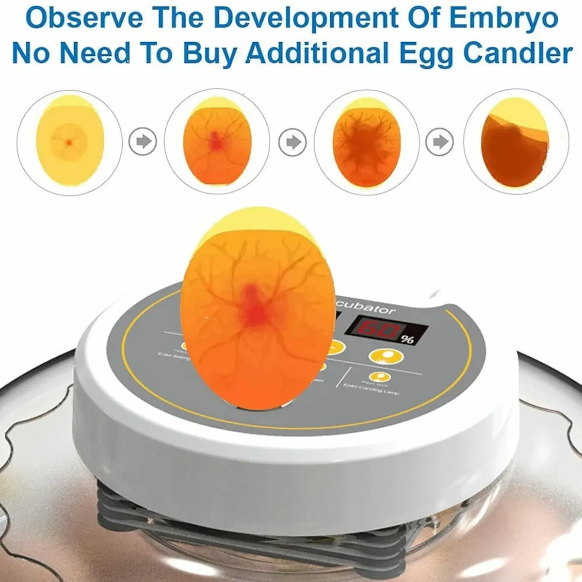 Egg Incubator for Hatching 18-60 egg Full Automati - Image 4