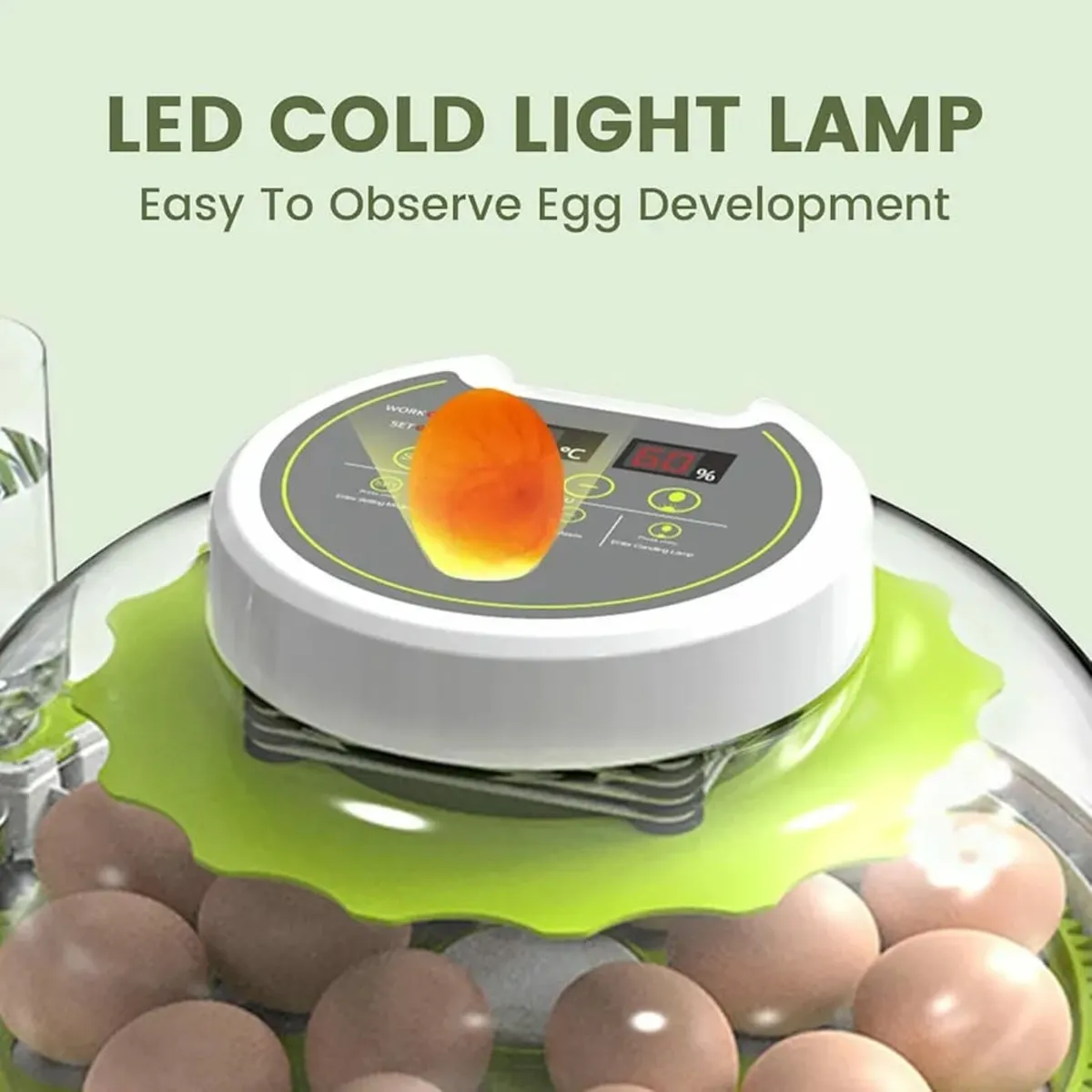 Egg Incubators for Hatching 18-60 Eggs, Digital In - Image 3