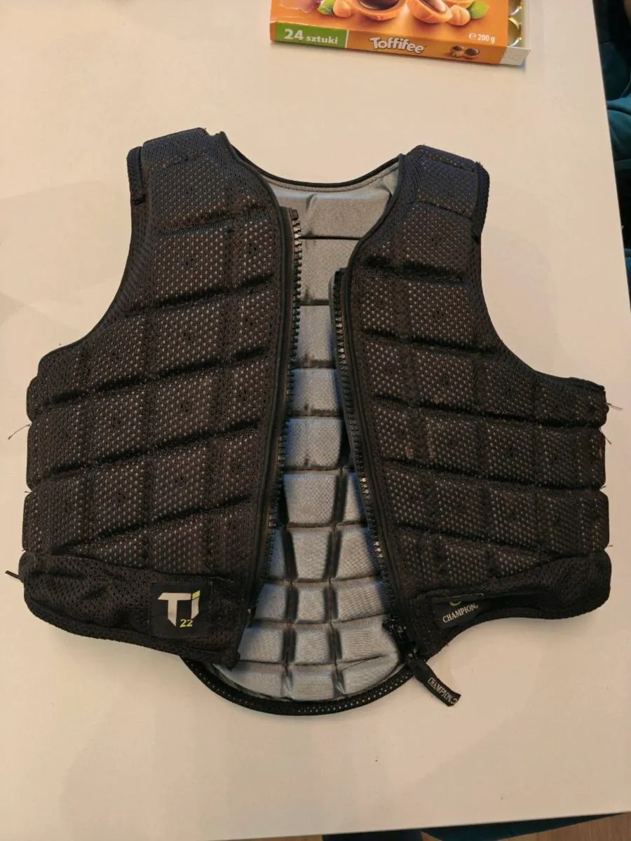 Back protector - Image 1