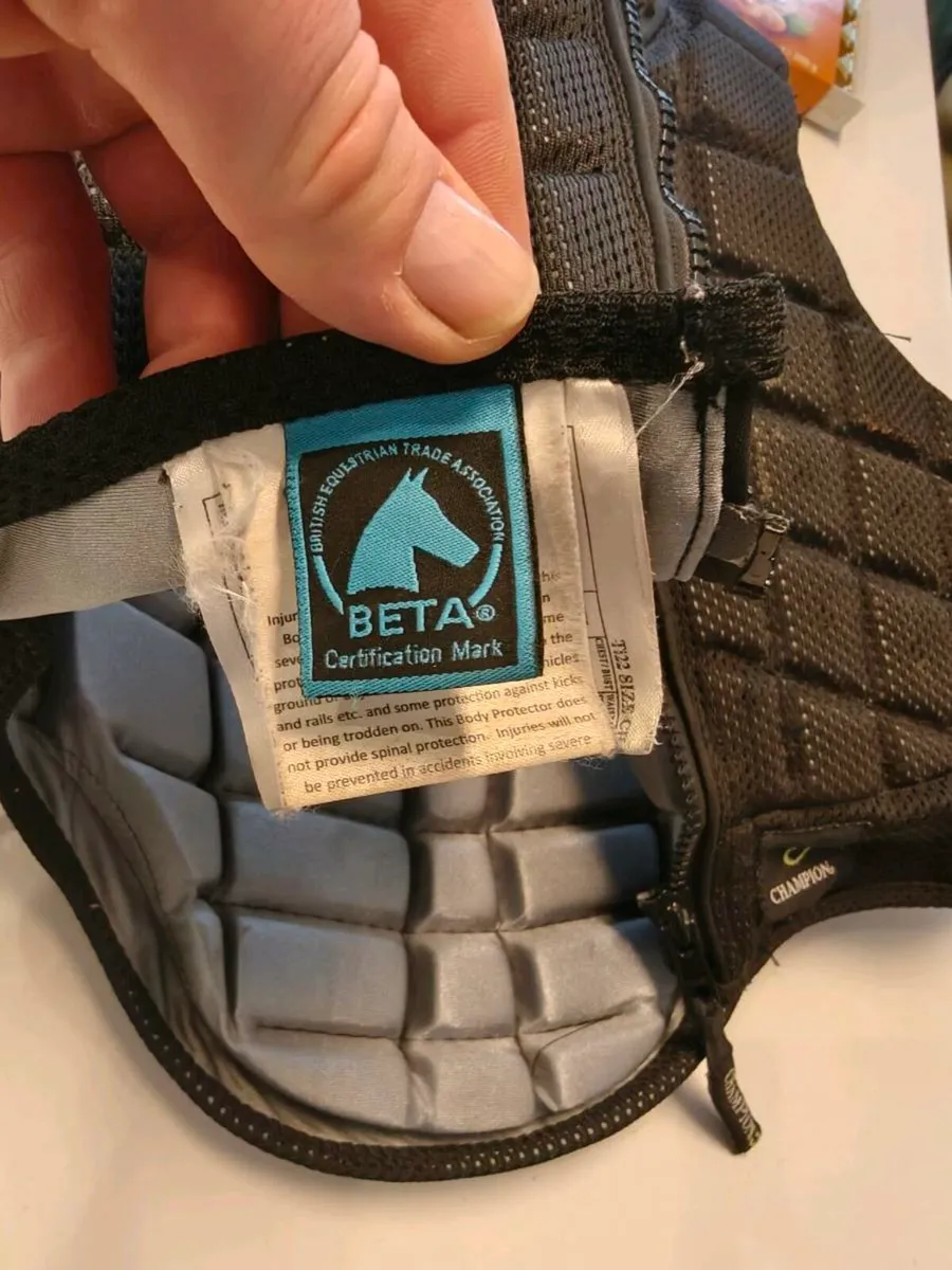 Back protector - Image 2