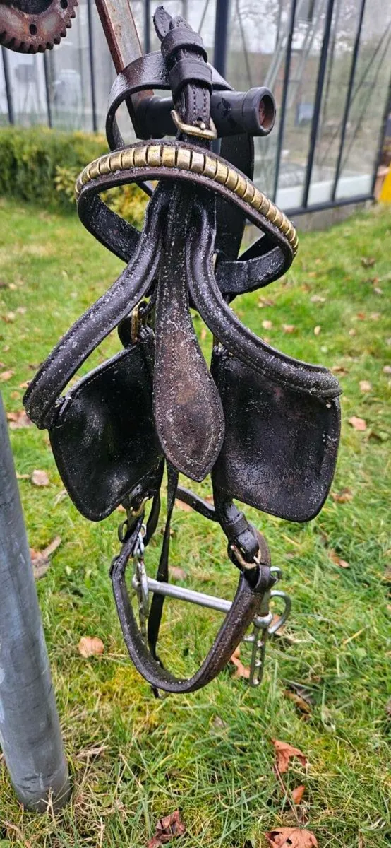 Driving harness - Image 1