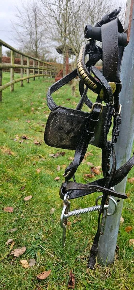 Driving harness - Image 2