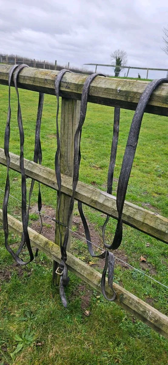 Driving harness - Image 3