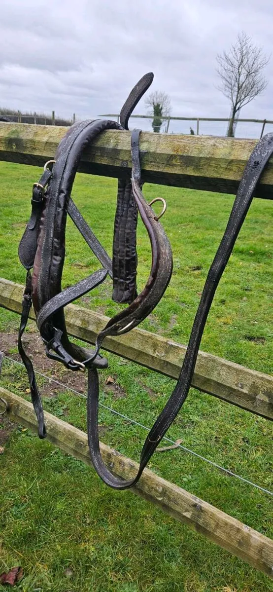 Driving harness - Image 4