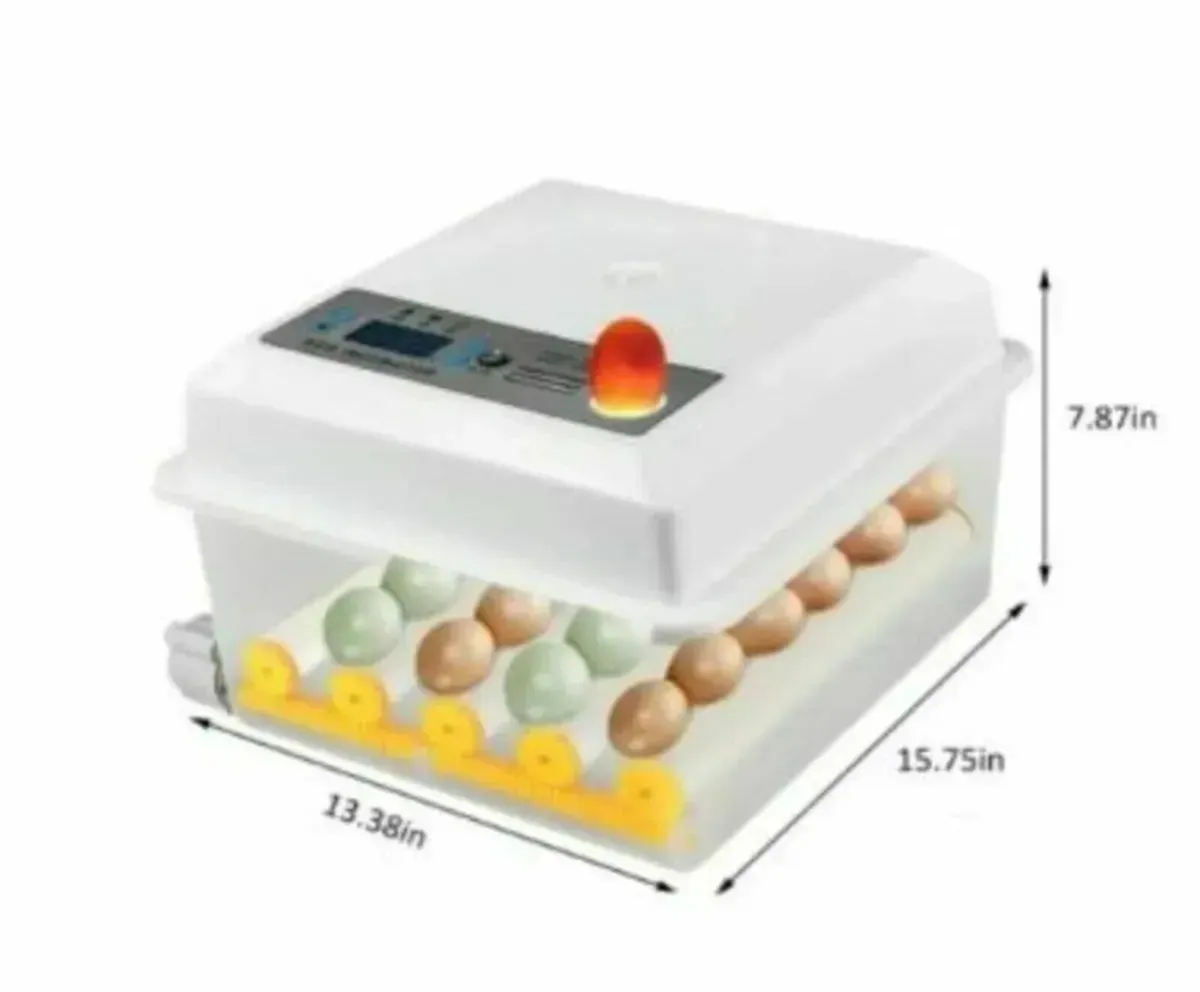 Automatic 16 Egg Incubator withTemperature Control - Image 3
